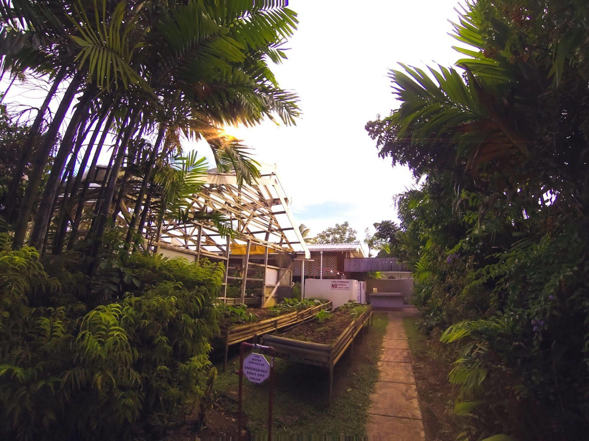 Kariwak Village Holistic Haven Краун Пойнт Екстериор снимка